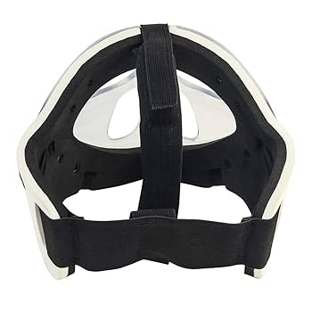 Amazon.com : Gryphon Field Hockey Goalie Mask – High-Impact
